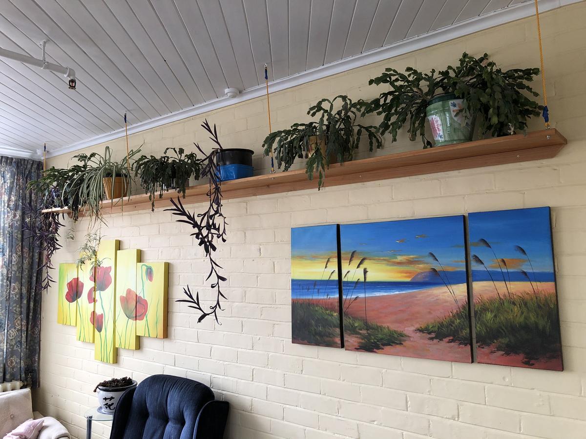Backpackers Hostel *